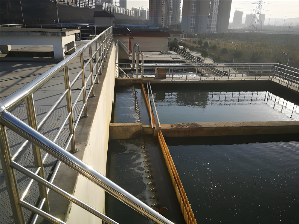 復(fù)合碳源具有哪些重要作用？